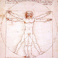 ダビンチ・解剖図