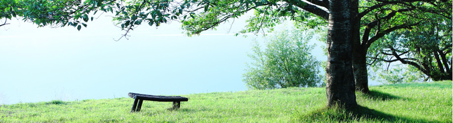 湖畔のベンチ。